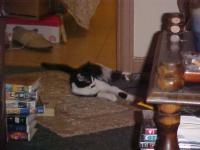 <img200*0:stuff/aj/9841/1305483182.jpg>
