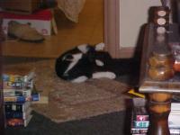 <img200*0:stuff/aj/9841/1305483293.jpg>