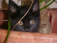 <img200*0:stuff/aj/9841/1305483353.jpg>