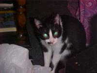 <img200*0:stuff/aj/9841/1305483381.jpg>