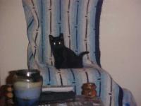 <img200*0:stuff/aj/9841/1305483405.jpg>