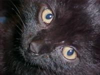 <img200*0:stuff/aj/9841/1305483434.jpg>