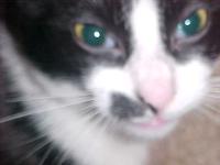 <img200*0:stuff/aj/9841/1305483455.jpg>