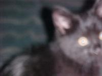 <img200*0:stuff/aj/9841/1305483494.jpg>