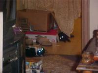 <img200*0:stuff/aj/9841/1305484497.jpg>