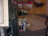 <img200*0:stuff/aj/9841/1305484522.jpg>
