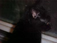 <img200*0:stuff/aj/9841/1305484546.jpg>