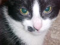 <img200*0:stuff/aj/9841/1305484576.jpg>