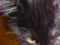 <img200*0:stuff/aj/9841/1305624491.jpg>