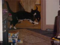 <img200*0:stuff/aj/9841/1305624574.jpg>