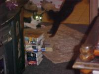 <img200*0:stuff/aj/9841/1305624931.jpg>