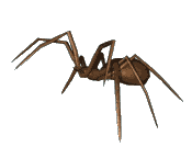 <img:stuff/aj/9841/1306144494.gif>