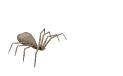 <img:stuff/aj/9841/1306144537.gif>