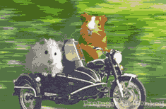 <img:stuff/aj/9841/1306178370.gif>