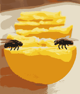 <img:stuff/aj/9841/1306178458.gif>