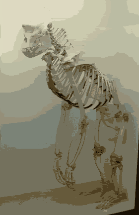<img:stuff/aj/9841/1306178637.gif>