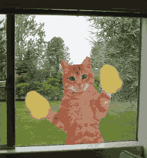 <img:stuff/aj/9841/1306184074.gif>