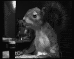 <img:stuff/aj/9841/1306249749.gif>