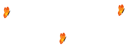 <img:stuff/aj/9841/1306375538.gif>