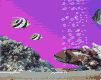 <img:stuff/aj/9841/1306535240.gif>