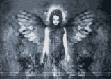 <img:stuff/aj/9841/1307362988.gif>
