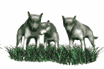 <img:stuff/aj/9841/1307363274.gif>