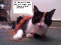 <img200*0:stuff/aj/9841/1418788820.jpg>