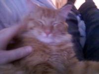 <img200*0:stuff/aj/9841/1424119295.jpg>