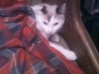 <img200*0:stuff/aj/9841/1424119313.jpg>