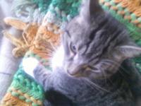 <img200*0:stuff/aj/9841/1424119330.jpg>