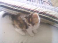 <img200*0:stuff/aj/9841/1424119353.jpg>