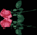 <img:stuff/aj/9841/1455951817.gif>