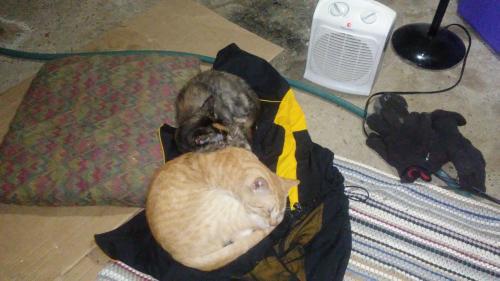 <img500*0:stuff/aj/9841/1531804699.jpg>