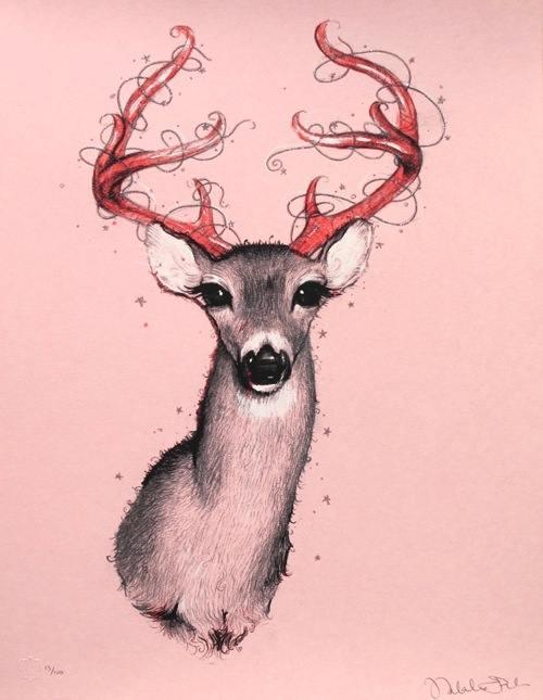 <img0*645:stuff/deer_in_the_headlights.jpg>