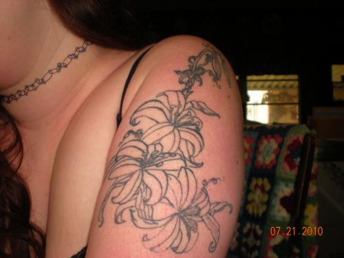 <img500*375:stuff/lillies.jpg>
