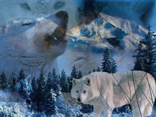 <img500*375:stuff/love_this_picture.jpg>