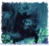 lovers_in_the_rain