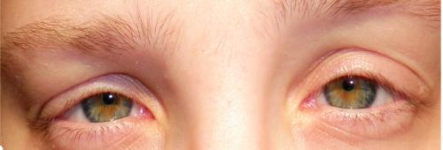 <img500*170:stuff/more_blue_in_this_shot.jpg>