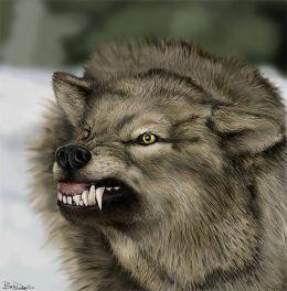 <img0*264:stuff/my_anthro_character_pist_of_like_i_am_now...jpg>