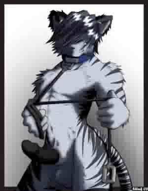 <img0*387:stuff/my_tiger_anthro.jpg>