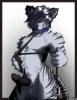 my_tiger_anthro