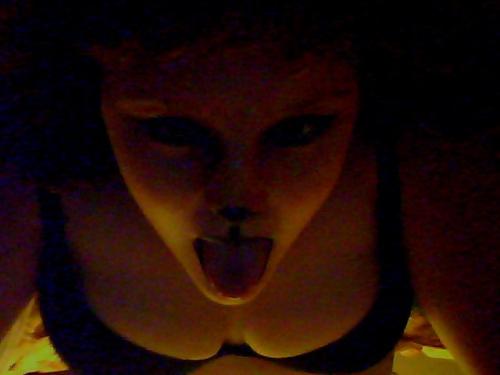 <img500*375:stuff/ruff.jpg>