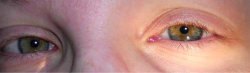 <img500*146:stuff/what_i_been_telling_you_guys_about...my_creepyeyes.jpg>
