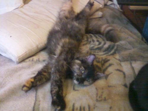 <img500*375:stuff/xRTSDcv.jpg>