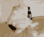 <img:stuff/z/9841/giffy%2520shit/i1307347961_1.gif>